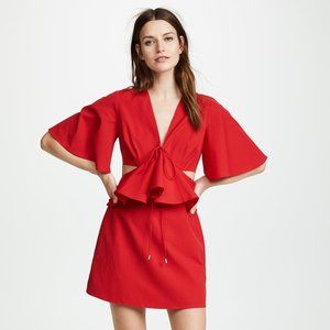 Temporary Love Dress